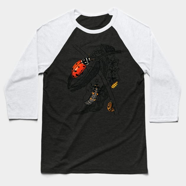 Lady Bug Life-Cycle Doodle Baseball T-Shirt by mernstw